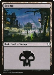 Swamp · 260 260