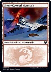 Snow-Covered Mountain 282