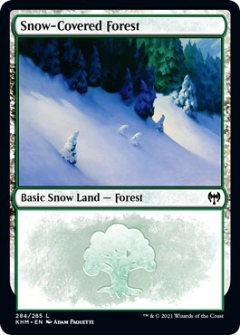 Bosque nevado Frente