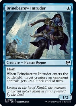 Brinebarrow Intruder Card Front