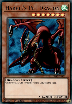 Harpie's Pet Dragon Card Front
