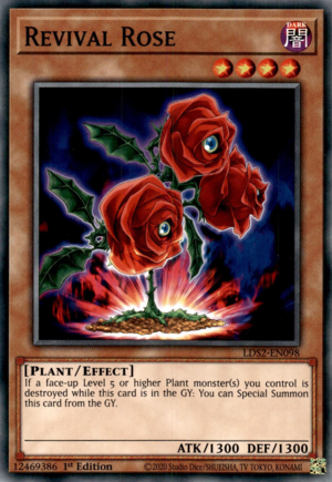 Revival Rose Card Front