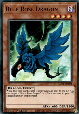 Drago Rosa Blu Card Front