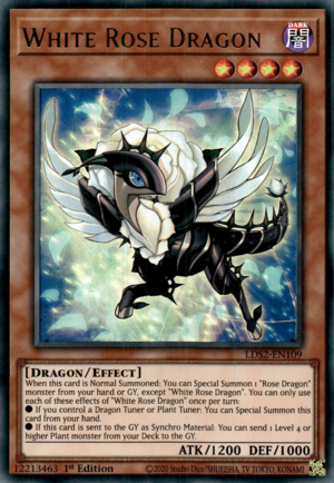 White Rose Dragon Card Front