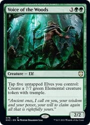 Voice of the Woods 078