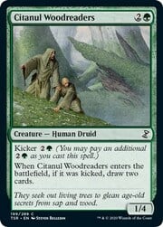 Citanul Woodreaders 199