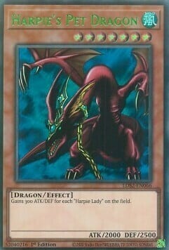 Harpie's Pet Dragon Card Front