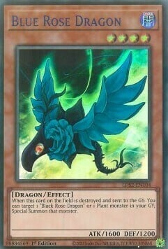 Drago Rosa Blu Card Front