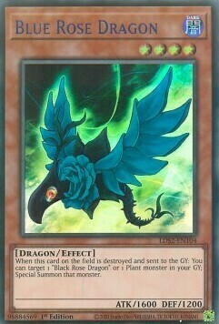 Blue Rose Dragon Card Front