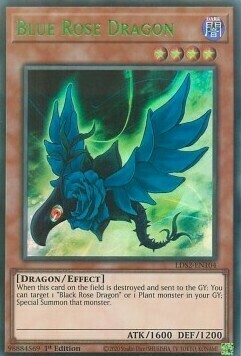 Blue Rose Dragon Card Front