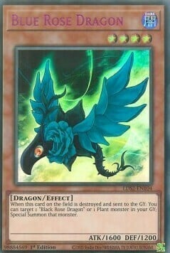 Blue Rose Dragon Card Front