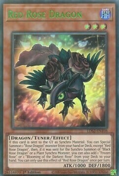 Red Rose Dragon Card Front