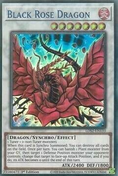 Black Rose Dragon Card Front