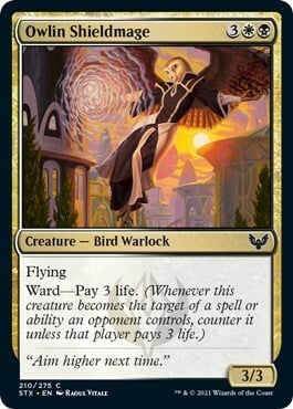 Owlin Shieldmage Card Front