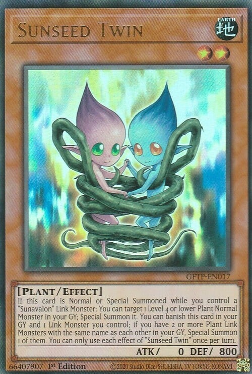 Sunseed Twin Card Front