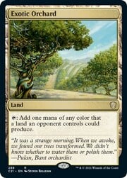 Exotic Orchard 288