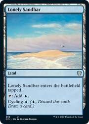 Lonely Sandbar 298