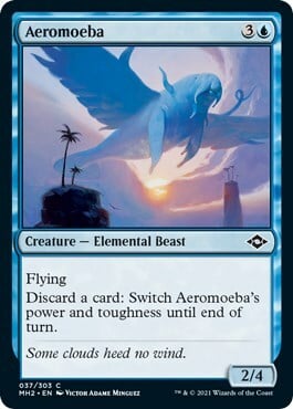 Aeromoeba Card Front