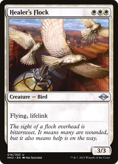 Stormo del Guaritore Card Front