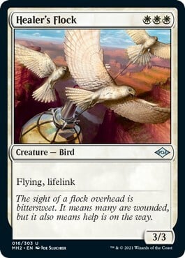 Healer's Flock Card Front