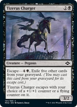Tizerus Charger Card Front
