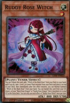 Ruddy Rose Witch Card Front