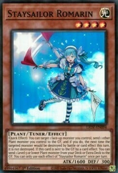 Staysailor Romarin Card Front