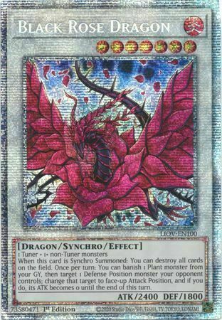 Black Rose Dragon Card Front