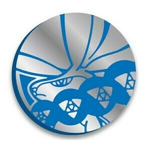 Chilling Reign: Ice Rider Calyrex Coin