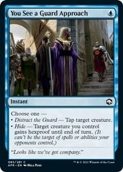 You See a Guard Approach 085
