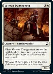 Veteran Dungeoneer 040