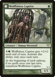 Wolfbitten Captive / Krallenhorde Killer
