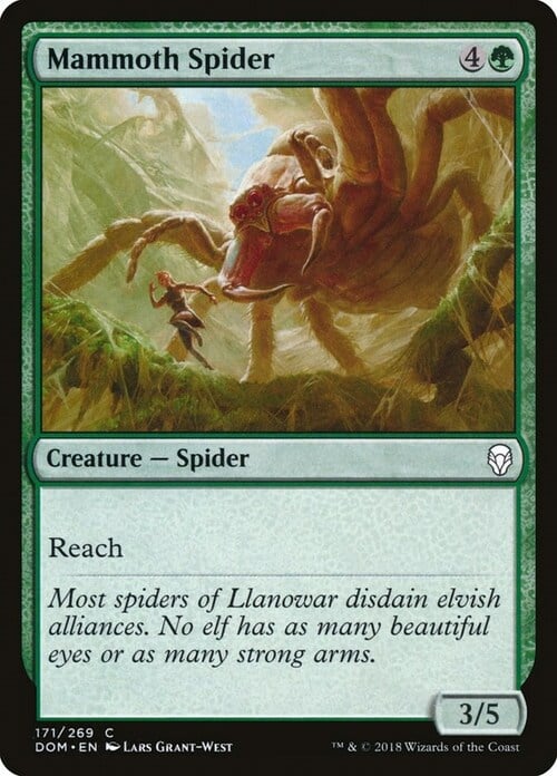 Ragno Mammut Card Front