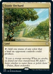 Exotic Orchard 236