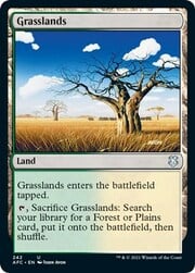 Grasslands 242
