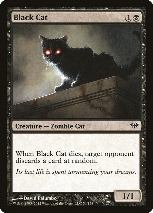 Gato negro Frente