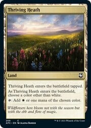 Thriving Heath 269