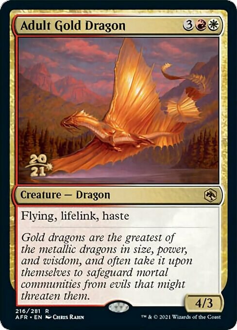 Dragón de oro adulto Frente