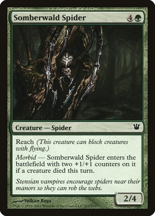 Somberwald Spider Card Front