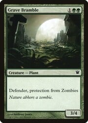 Grave Bramble 184