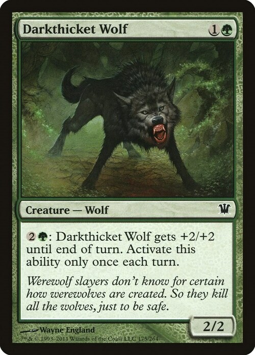Darkthicket Wolf Card Front