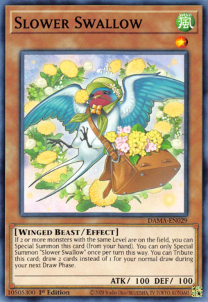 Slower Swallow Card Front