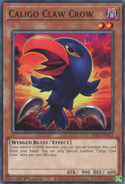Caligo Claw Crow · Common 012