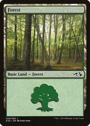 Forest · 29 029