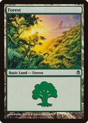 Forest · 39 039