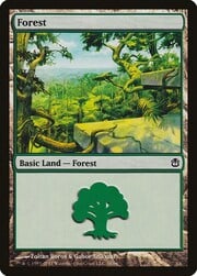 Forest · 38 038