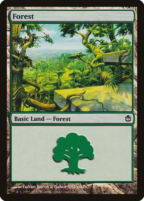 Forest Card Front