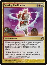 Searing Meditation 027