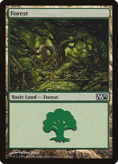 Forest Card Front
