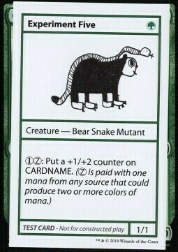 Experiment Five Card Front